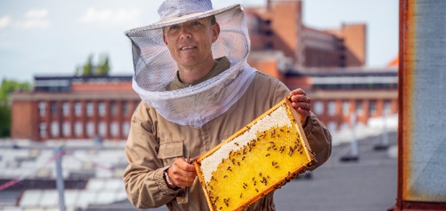The hobby beekeeper and Siemens employee Ingo Buschmann takes care of the two bee colonies on the roof of the Dynamowerk