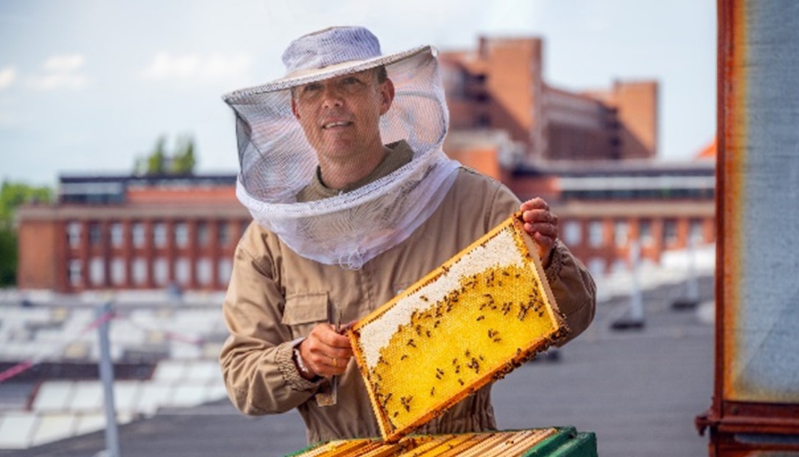 Der Hobby-Imker und Siemens-Mitarbeiter Ingo Buschmann kümmert sich um die beiden Bienenvölker auf dem Dach des Dynamowerks