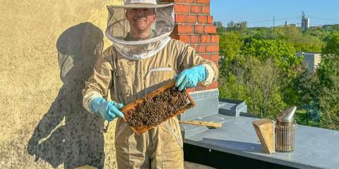 Imker mit Bienen in der Siemensstadt Square