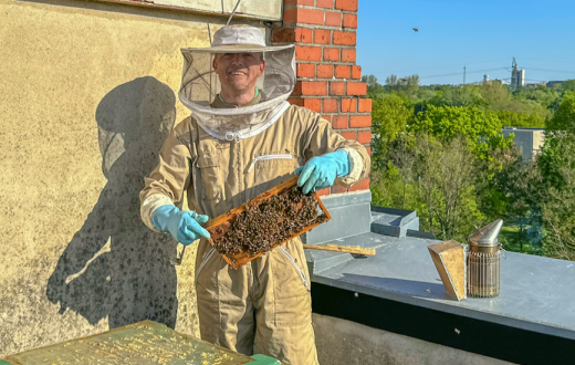 Imker mit Bienen in der Siemensstadt Square