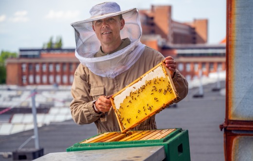 Bienen und Artenvielfalt in der Siemensstadt